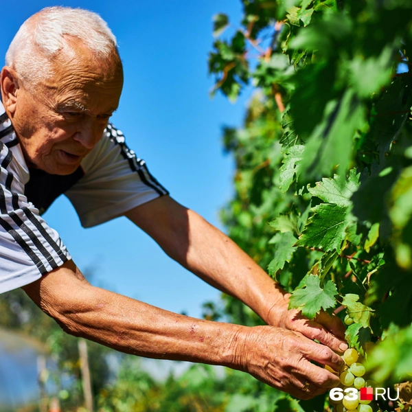 Источник: Роман Данилкин / 63.RU