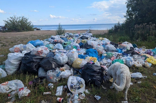 Из-за отдыхающих количество мусора рядом с пляжем выросло в несколько раз | Источник: читательница НГС