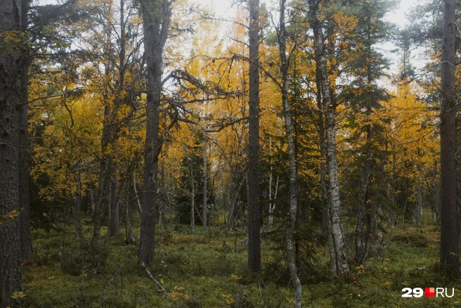 Источник: Иван Митюшёв