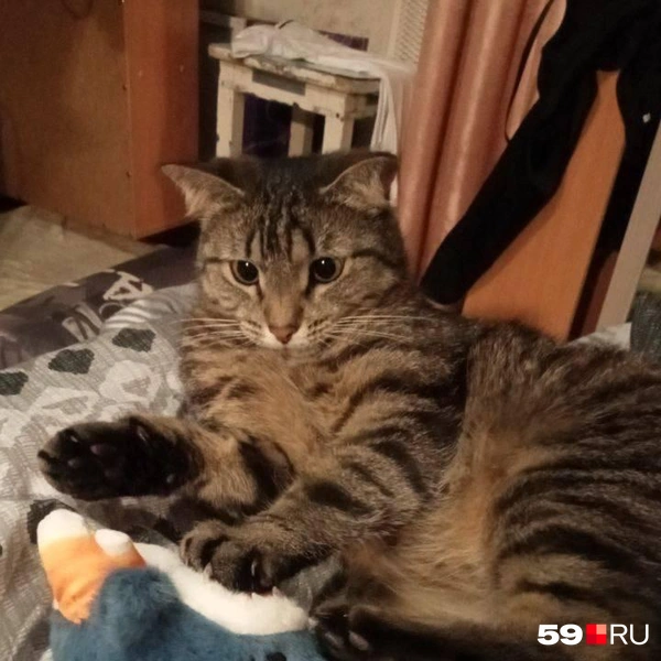 Источник: читатель 59.RU