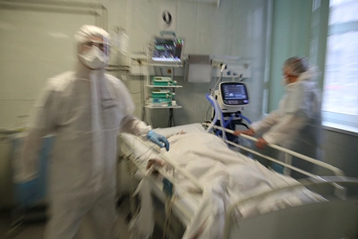 Эпидемиолог рассказал волгоградцам об угрозе желтой лихорадки