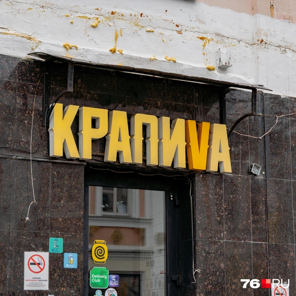 В «Крапиве» подавали крафтовое пиво | Источник: Кирилл Поверинов / 76.RU