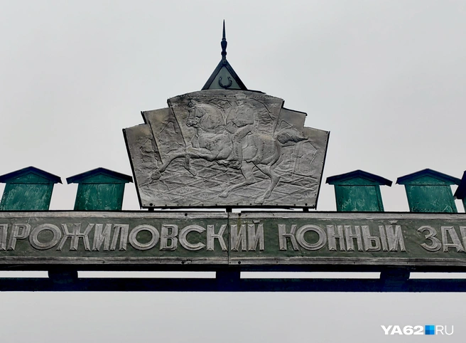 Конезавод имеет большое значение для истории российской кавалерии | Источник: Кристина Мельникова / YA62.RU
