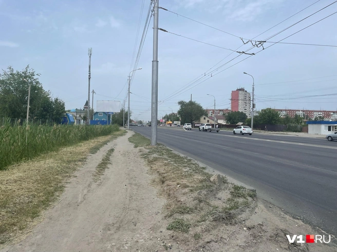 Вперед! В «Акварель»! | Источник: Илья Воробушкин / V1.RU