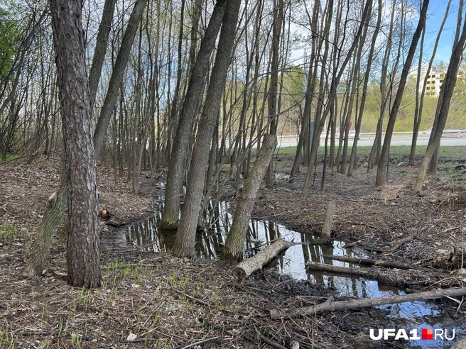 Сверился по карте&nbsp;— точно нужная река | Источник: Андрей Бирюков / UFA1.RU