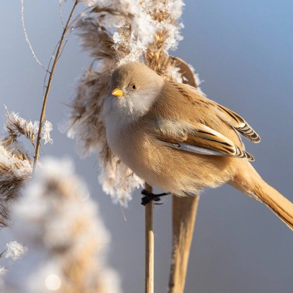 Источник: Павел Глазков / Каждой твари по паре 
