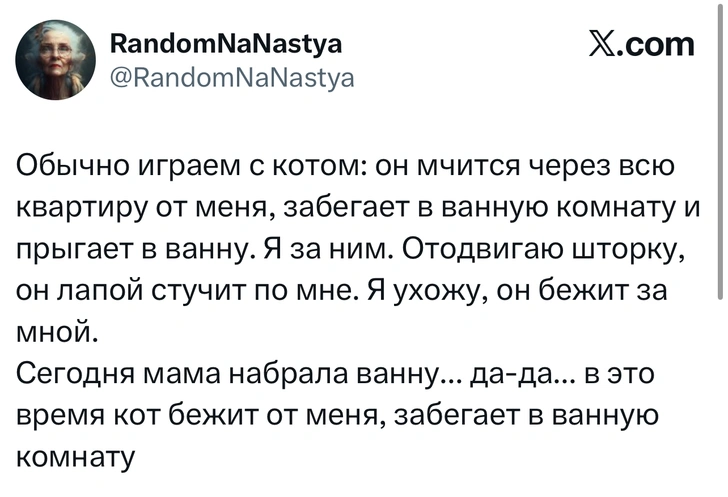 Источник: X (Twitter)