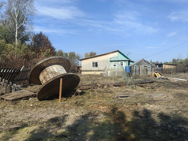 Есть ощущение, что бобину принесло большой водой  | Источник: Павел Красоткин / 72.RU 