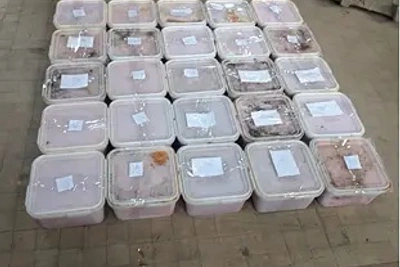 Мать и сын обвиняются в обороте икры на 2 млн рублей на Колыме