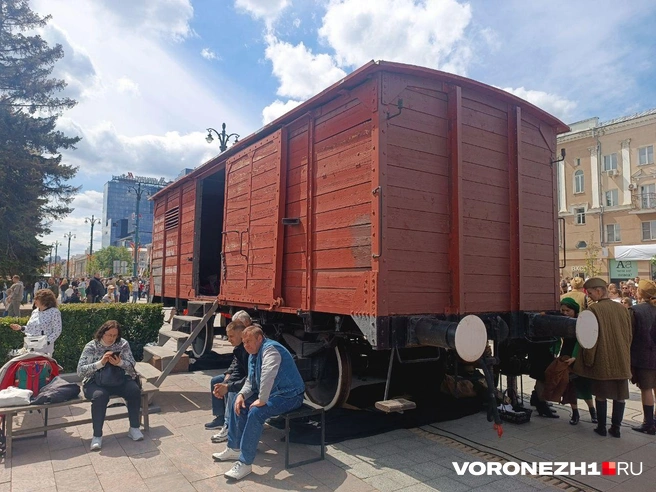 Источник: Алёна Воропаева / Voronezh1.ru