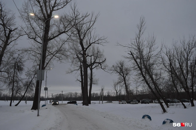 Источник: Анастасия Баринова / 56.RU