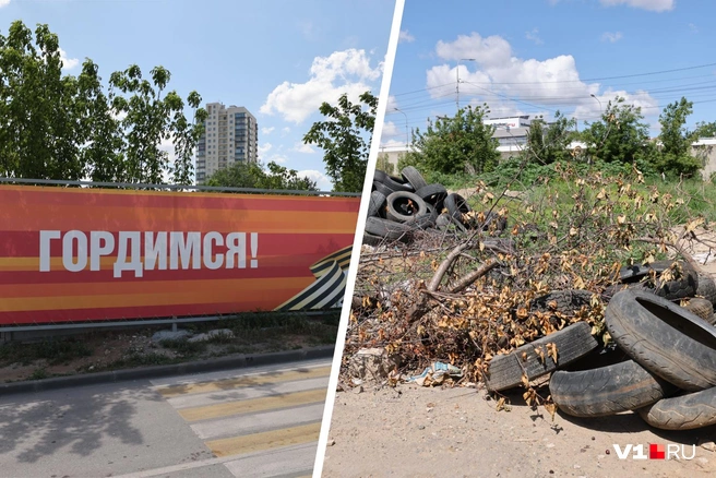 Скоро свалка на пустыре достигнет своих первоначальных размеров | Источник: Юрий Скулыбердин