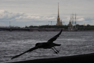 Погоду в Петербурге и Москве изменит циклон с юга