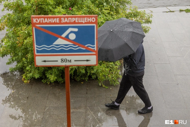 В ночь на 17 и 18 мая в некоторых частях Свердловской области ударят заморозки | Источник: Владислав Лоншаков / E1.RU