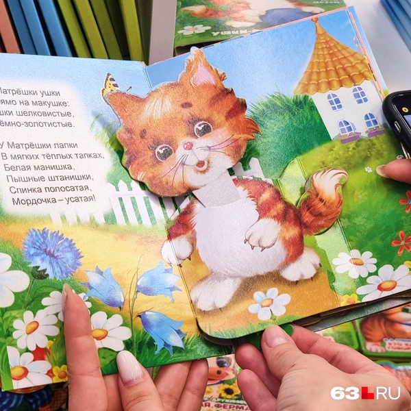 Интерактивная книга тоже вписывается в бюджет | Источник: Роман Данилкин / 63.RU