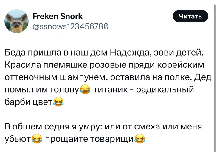 Источник: Twitter (X)