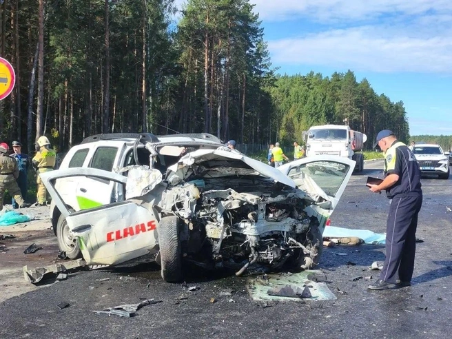 Водитель французского автомобиля, предварительно, выехал на встречку | Источник: Госавтоинспекция Свердловской области 