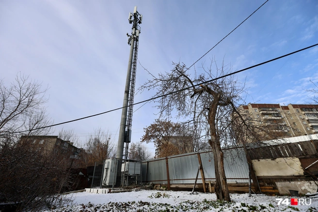 В огороде мы заметили небольшой пассивный заработок семьи. Оператору сотовой связи очень нужно было поставить вышку именно здесь | Источник: Наталья Лапцевич