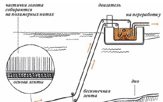 Почему из металлов особенно ценится золото?