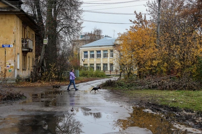 Нижегородскую область ждут заморозки до -3 градусов