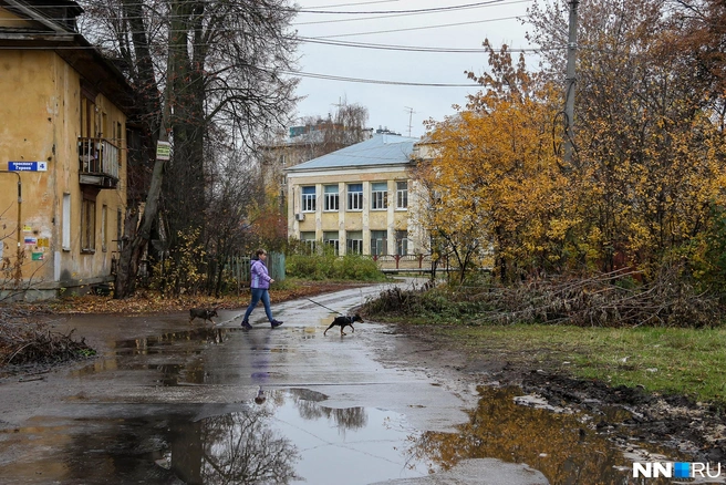 Бабье лето в Нижегородской области закончилось | Источник: Наталья Бурухина / NN.RU