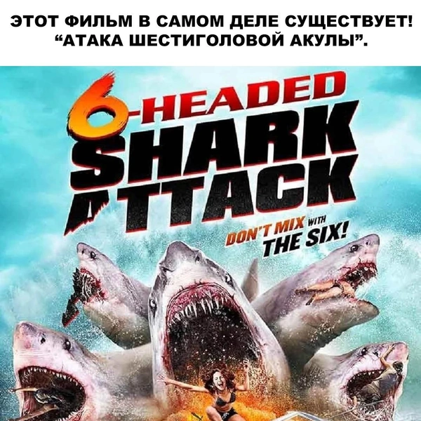 Источник: соцсети