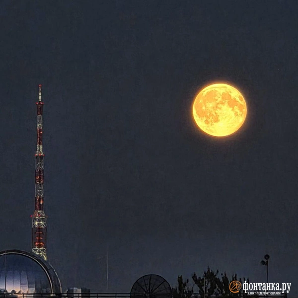 Источник: читатель «Фонтанки»