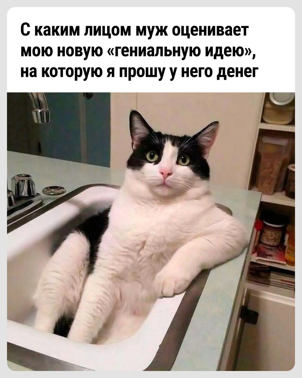 Интересно, о чём он думает в этот момент? | Источник: Городские медиа