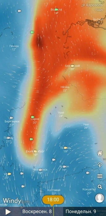 Качество воздуха в Свердловской области | Источник: Windy.com