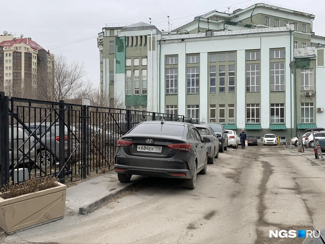 Стоят на дорожке | Источник: Дмитрий Косенко