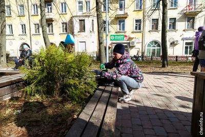 В Череповце прошел субботник в сквере на Верещагина