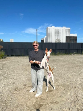 Позировать инопланетного вида собаки умеют мастерски | Источник: личный архив Надежды Купченко