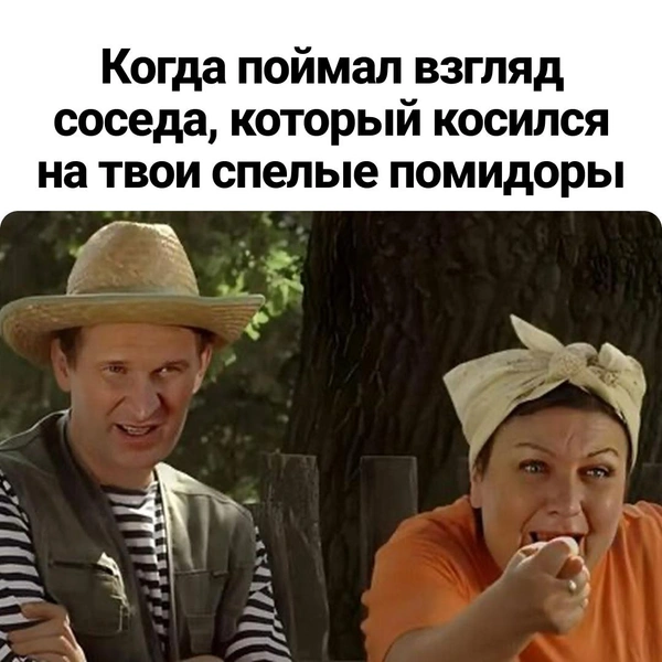 Помидоры мои трогать опасно… | Источник: «Сваты» (18+), 2008–2021 г., режиссеры: Юрий Морозов, Андрей Яковлев, Эдуард Радзюкевич
