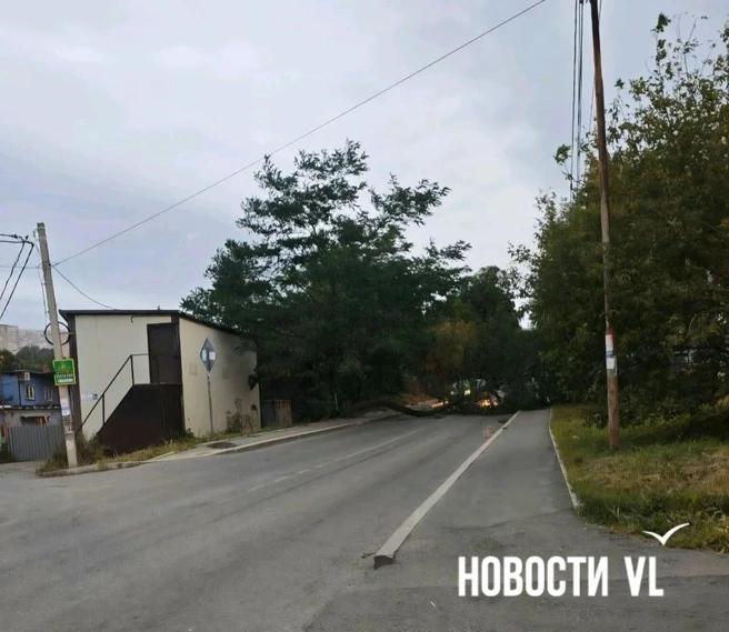Источник: vl.ru