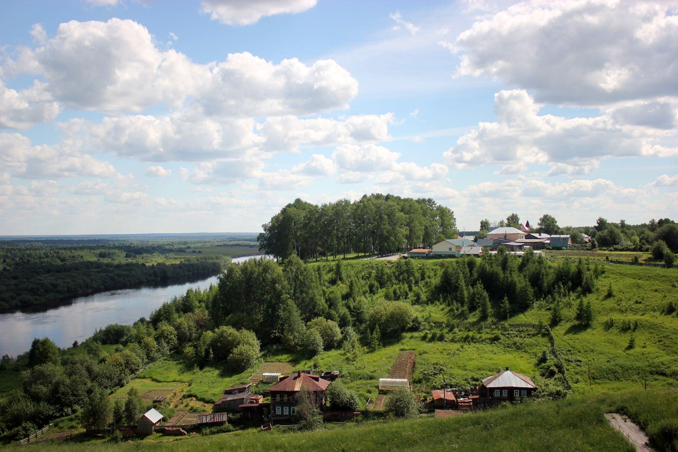 Быстрорастущие кустарники для живой изгороди