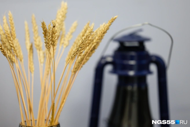 Сложные пациенты остались в памяти | Источник: Евгений Софийчук / NGS55.RU