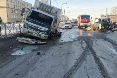 Водитель скончался после аварии с грузовиком в Бердске