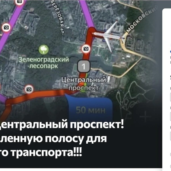 Жители Зеленограда написали петицию против выделенной полосы для общественного транспорта  | Источник: chenge.org