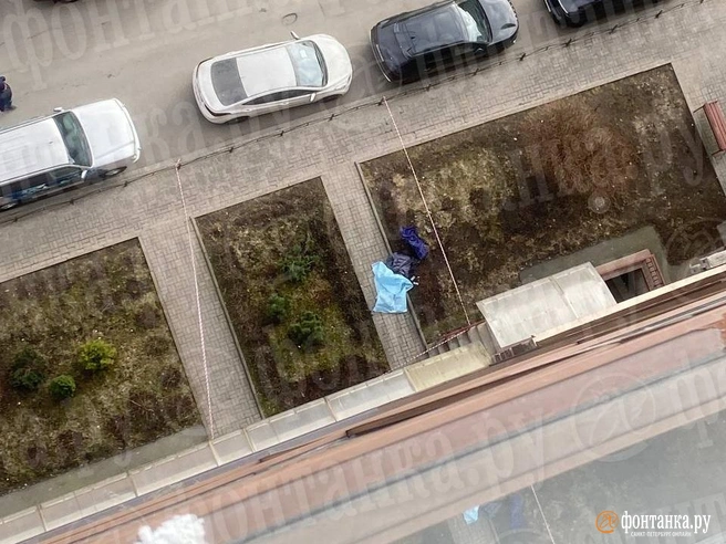 В Петербурге молодой человек погиб во время стрима. Его тело нашли под окнами дома | Источник: читатель «Фонтанки»
