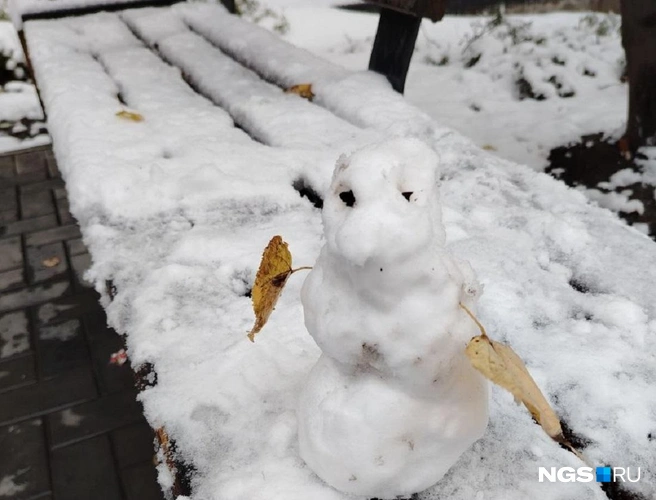 Источник: читатель НГС