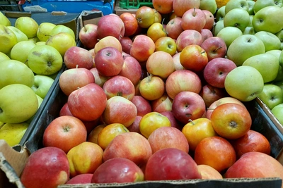 В Екатеринбурге нашли яблоки по 700 рублей за килограмм