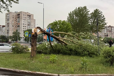 Последствия ветра и ливня в Тюмени: фото