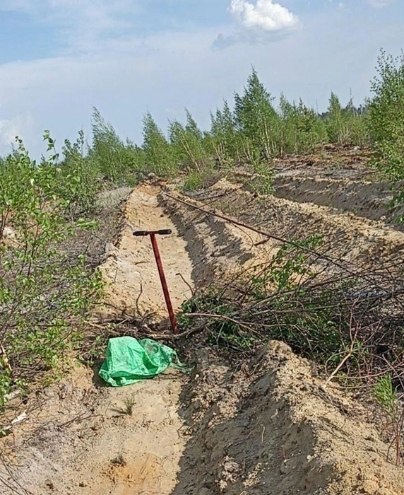 Вот так была устроена работа: один копает ямку, второй садит растение | Источник: Тихон Хорошун