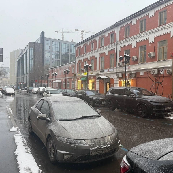 Москву продолжает накрывать апрельский снегопад. Посмотрите, что у них там происходит | Источник: читательница «Фонтанки» Татьяна