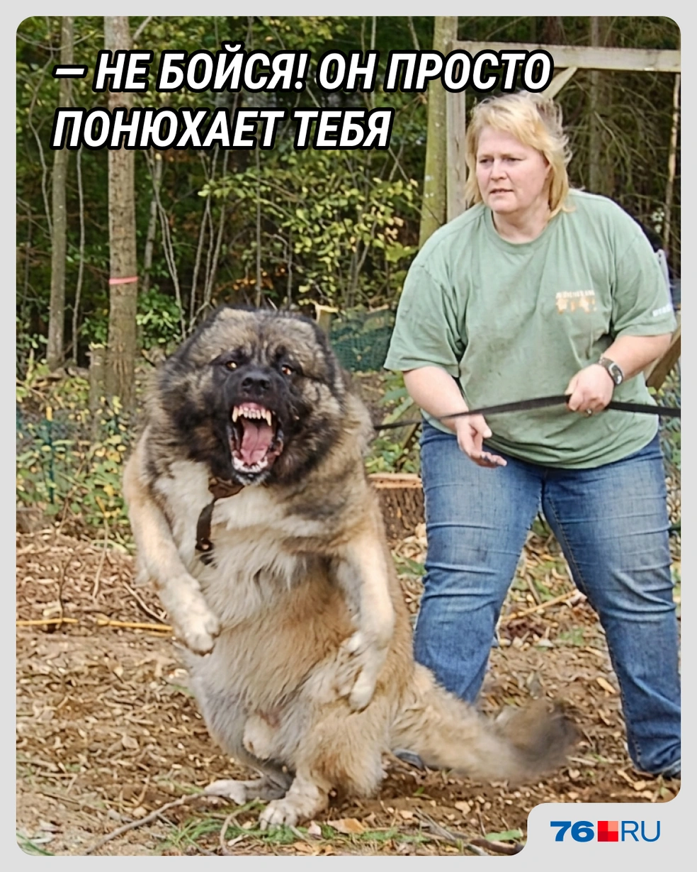 Да не кусается он! | Источник: Городские медиа