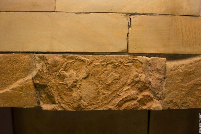 Источник: Vikulov_Stanislav