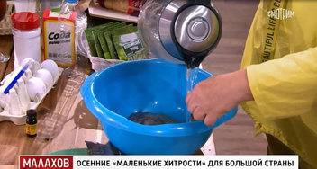 Убрать запах рыбы, проверить икру и заточить блендер: блогеры показали Малахову лайфхаки для кухни