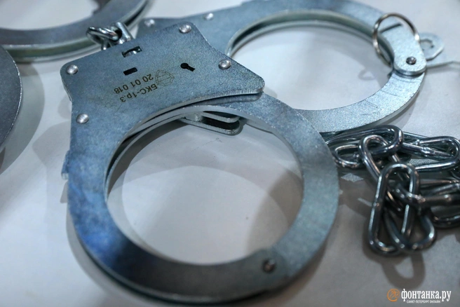 На нападавших возбудили уголовное дело за грабеж с применением насилия | Источник: Сергей Коньков / FONTANKA.RU