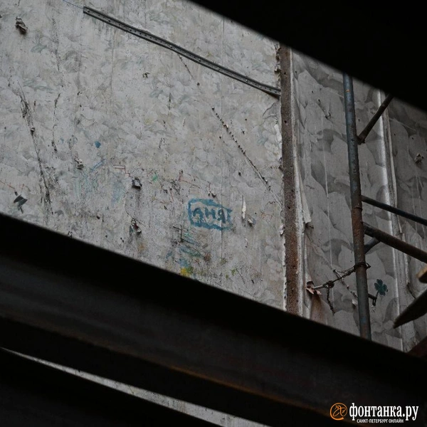 Источник: Андрей Бок / «Фонтанка.ру»