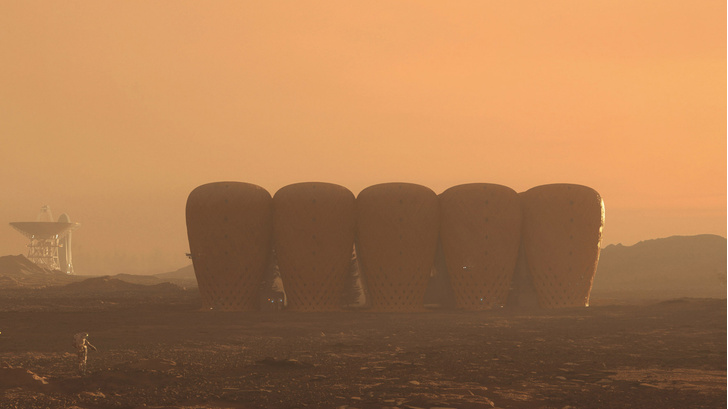 Дизайн-концепт: колония на Марсе, построенная из бамбука, выращенного на Марсе (галерея)
